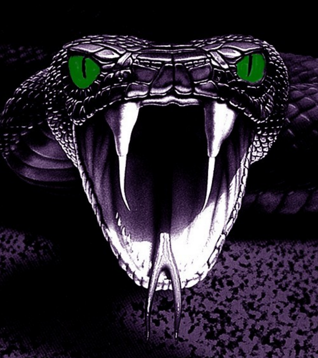 Purple Cobras Franklin Fantasy Baseball League